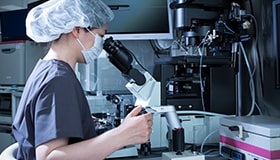 顕微授精イメージ