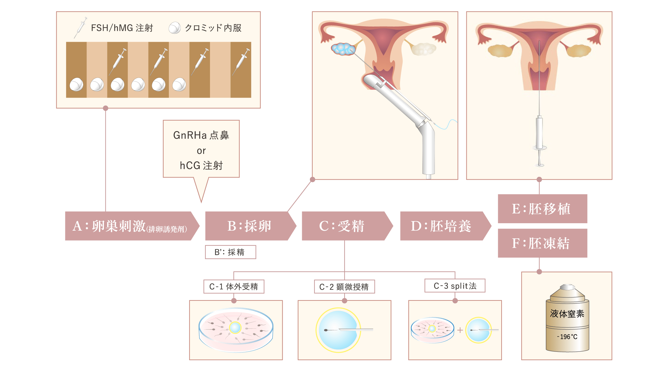 初めて の 体外 受精 ブログ