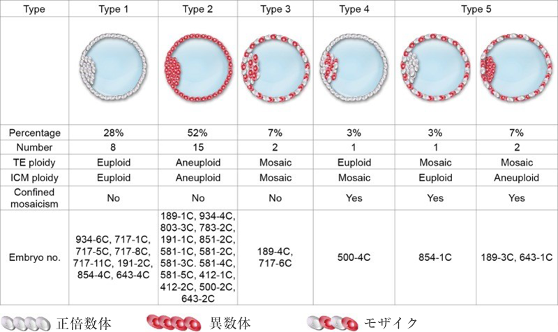 PGT-Aの問題点