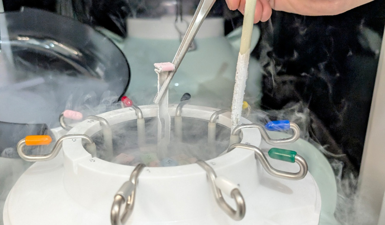 卵子凍結イメージ