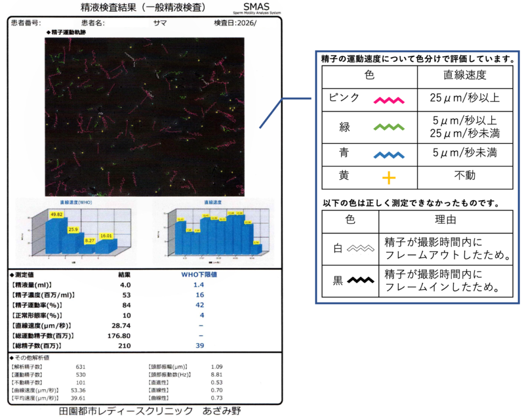 実際にお渡ししているSMAS測定結果の報告書
